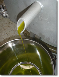 Olive Press